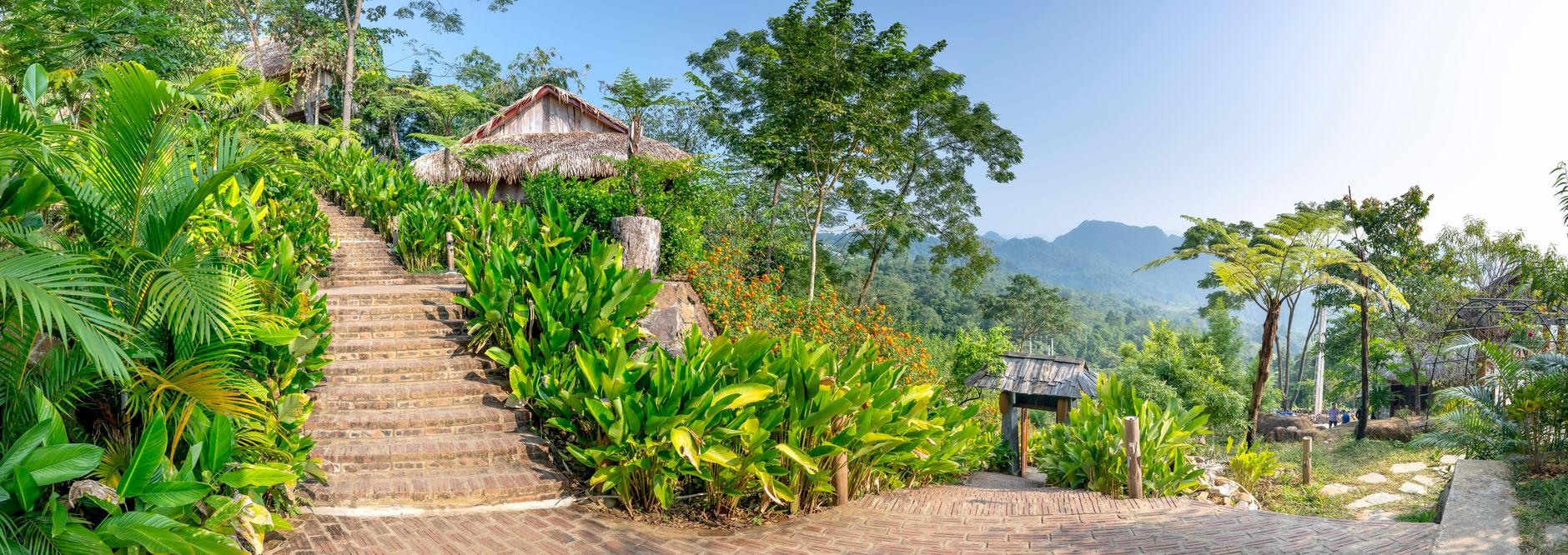 Stone path winding through a dense tropical garden